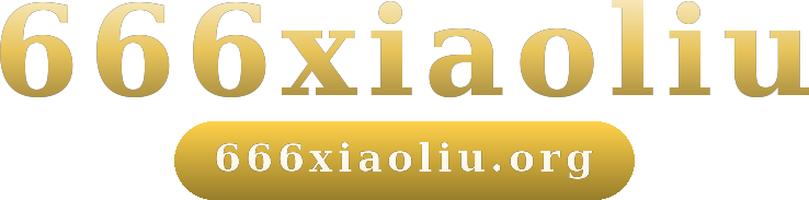 666xiaoliu logo